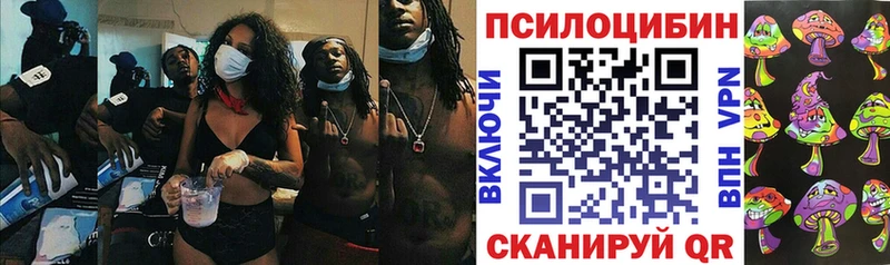 Купить  Железногорск  Галлюциногенные грибы мицелий 